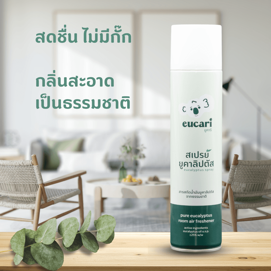 Eucari ยูคาลิปตัสสเปรย์ในบ้านที่สว่างและสดชื่น