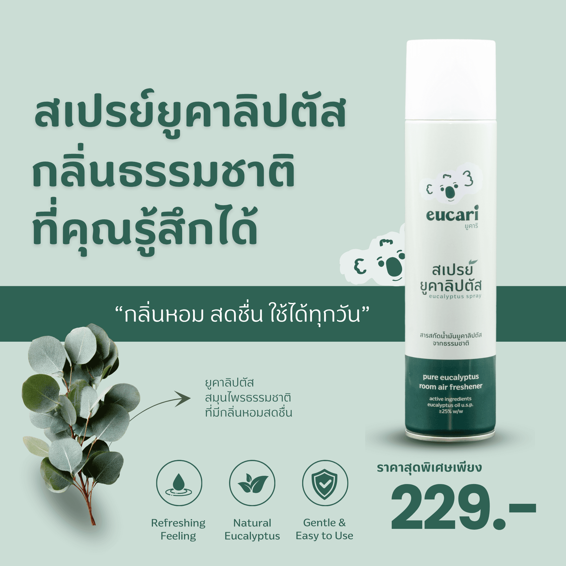 ภาพสินค้า Eucari ยูคาลิปตัสสเปรย์ 300ml